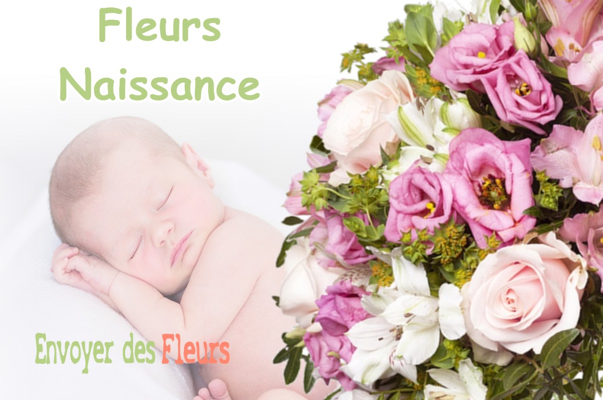 lIVRAISON FLEURS NAISSANCE à ANGRESSE